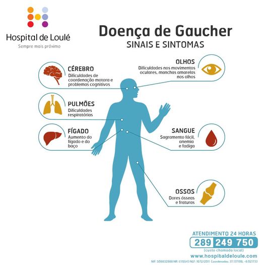 Cartões: DOENÇA DE GAUCHER