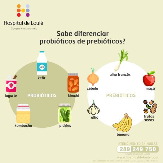 Sabe diferenciar probióticos de prebióticos?