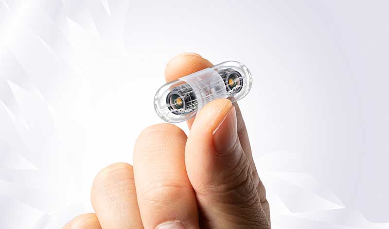 Cápsula Endoscópica